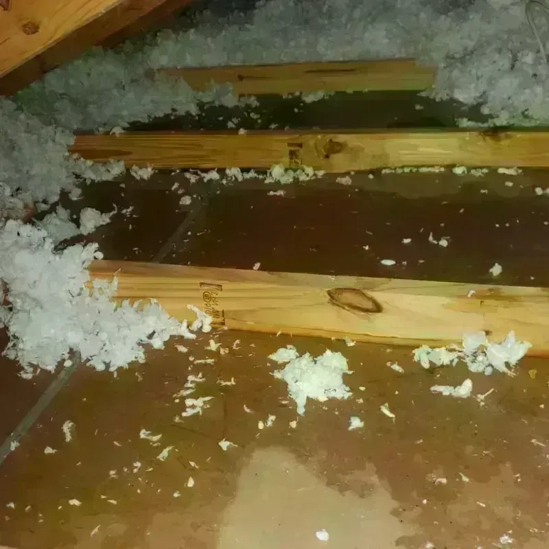 Attic Water Damage in Houston, MO