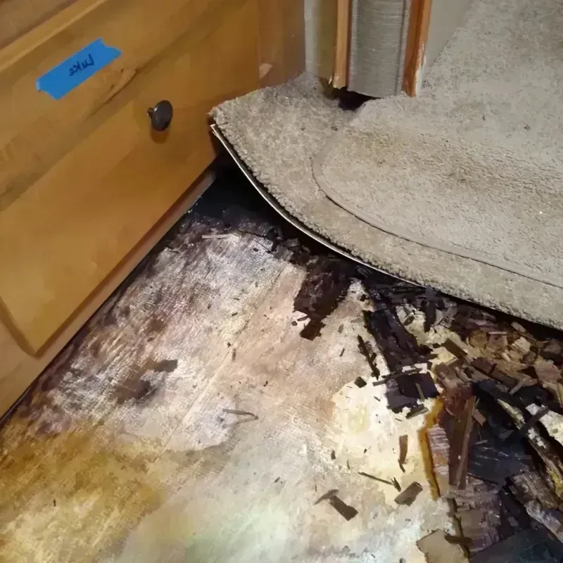 Best Wood Floor Water Damage Service in Houston, MO